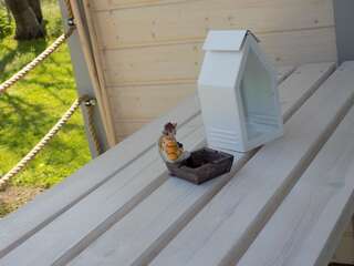 Лоджи Domki Zuzanna Mieroszyno Шале-18